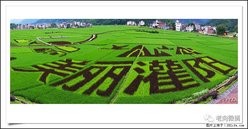 【春天,广西桂林灌阳县向您发出邀请!】开篇 - 游山玩水 - 雅安生活社区 - 雅安28生活网 ya.28life.com