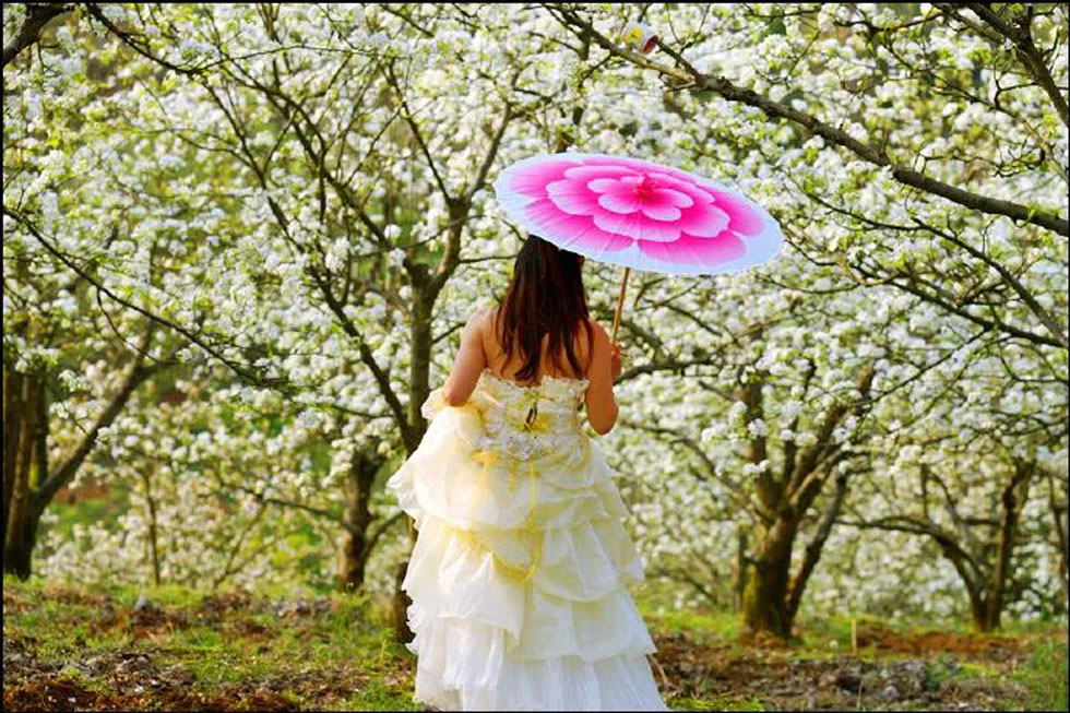 【春天，广西桂林灌阳县向您发出邀请！】我们在灌阳看梨花 - 游山玩水 - 雅安生活社区 - 雅安28生活网 ya.28life.com