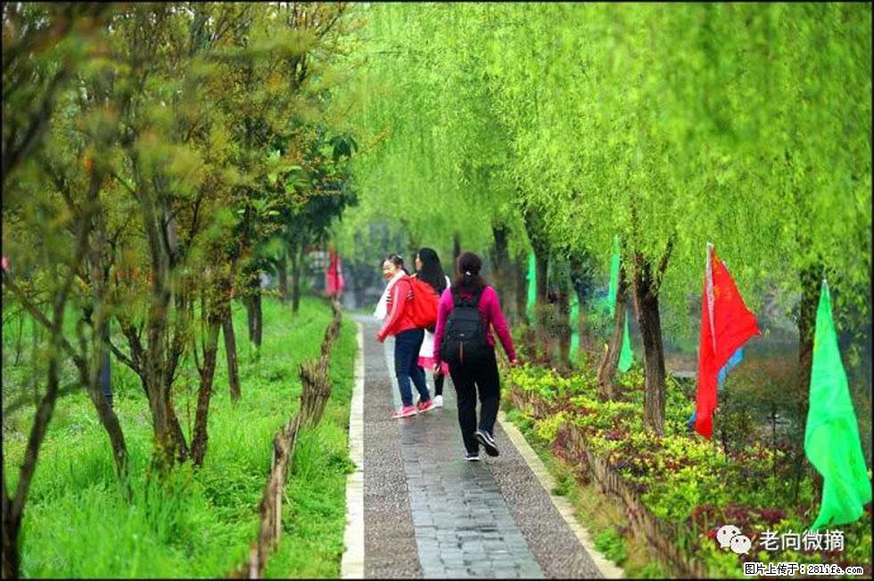 【春天,广西桂林灌阳县向您发出邀请!】江口老街又逢春 - 游山玩水 - 雅安生活社区 - 雅安28生活网 ya.28life.com