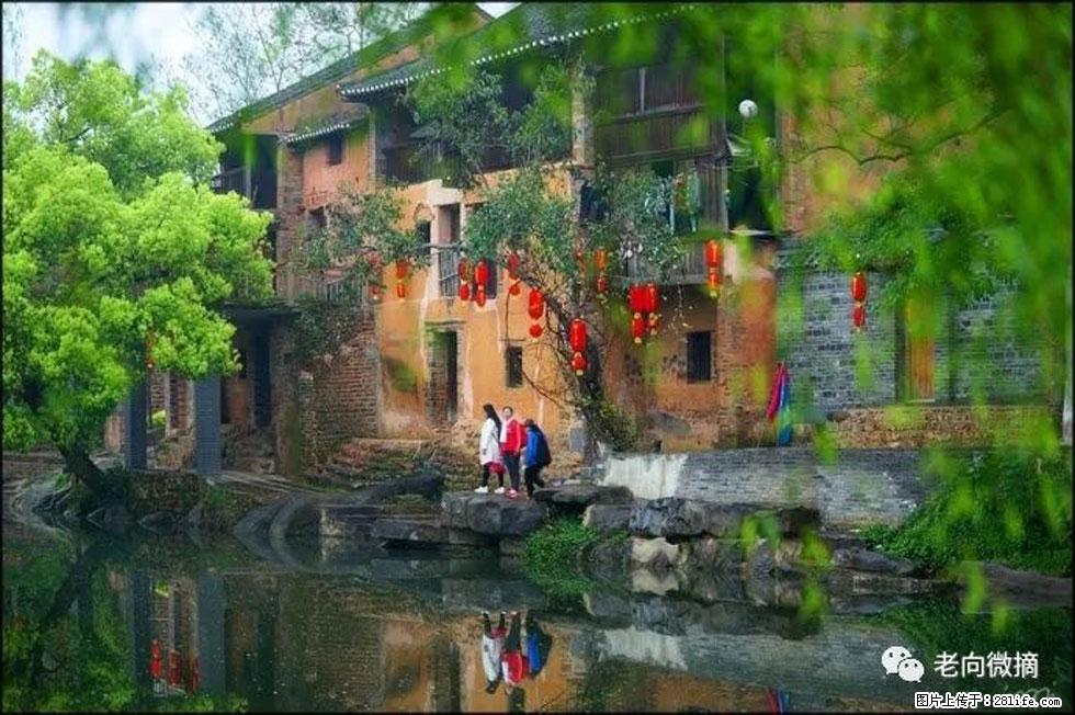 【春天,广西桂林灌阳县向您发出邀请!】江口老街又逢春 - 游山玩水 - 雅安生活社区 - 雅安28生活网 ya.28life.com