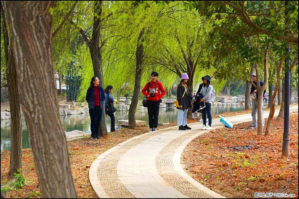 【春天,广西桂林灌阳县向您发出邀请!】江口老街又逢春 - 游山玩水 - 雅安生活社区 - 雅安28生活网 ya.28life.com