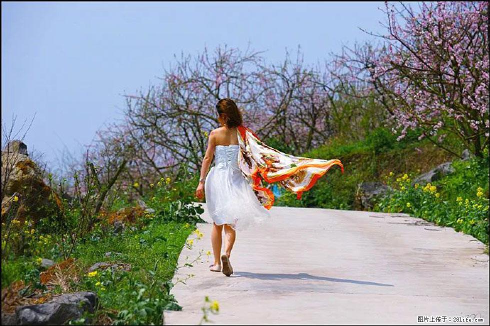 【春天,广西桂林灌阳县向您发出邀请!】望月岭上桃花开 - 游山玩水 - 雅安生活社区 - 雅安28生活网 ya.28life.com