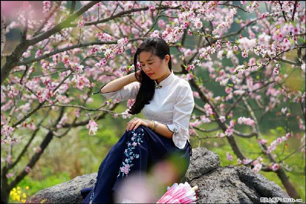 【春天,广西桂林灌阳县向您发出邀请!】望月岭上桃花开 - 游山玩水 - 雅安生活社区 - 雅安28生活网 ya.28life.com