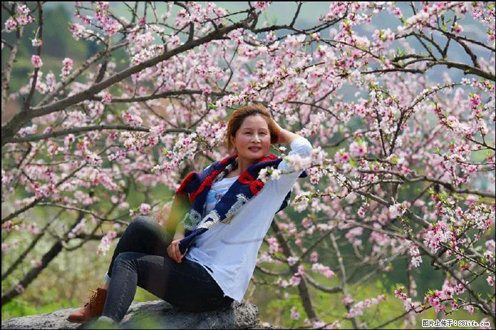 【春天,广西桂林灌阳县向您发出邀请!】望月岭上桃花开 - 游山玩水 - 雅安生活社区 - 雅安28生活网 ya.28life.com
