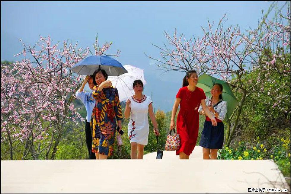 【春天,广西桂林灌阳县向您发出邀请!】望月岭上桃花开 - 游山玩水 - 雅安生活社区 - 雅安28生活网 ya.28life.com