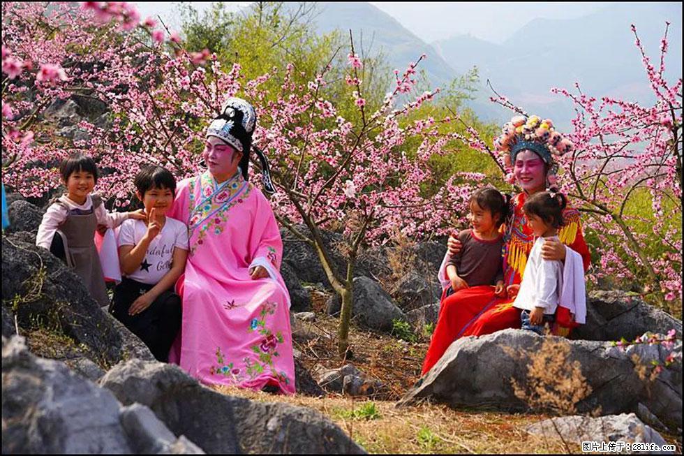【春天,广西桂林灌阳县向您发出邀请!】望月岭上桃花开 - 游山玩水 - 雅安生活社区 - 雅安28生活网 ya.28life.com