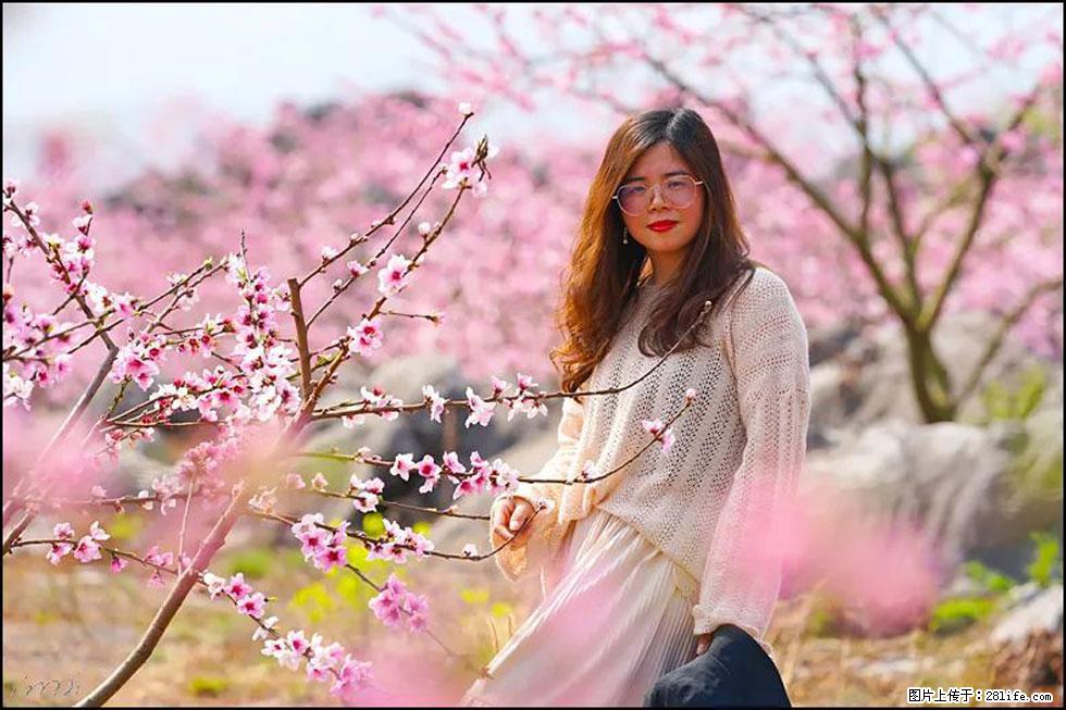 【春天,广西桂林灌阳县向您发出邀请!】望月岭上桃花开 - 游山玩水 - 雅安生活社区 - 雅安28生活网 ya.28life.com