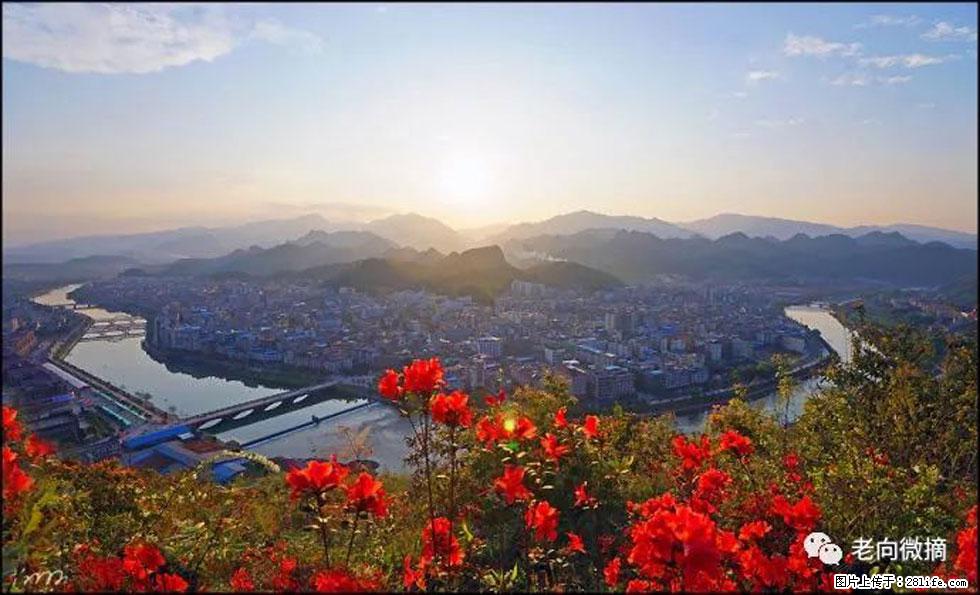 【春天,广西桂林灌阳县向您发出邀请!】登麒麟山,相约映山红 - 游山玩水 - 雅安生活社区 - 雅安28生活网 ya.28life.com