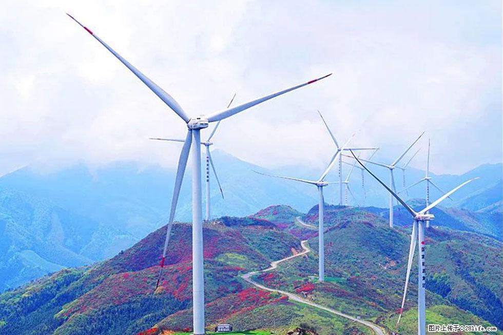 【春天,广西桂林灌阳县向您发出邀请!】春木界上映山红 - 游山玩水 - 雅安生活社区 - 雅安28生活网 ya.28life.com