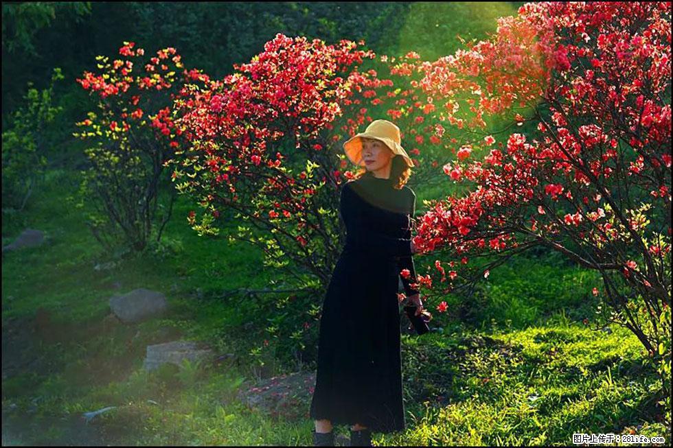 【春天,广西桂林灌阳县向您发出邀请!】春木界上映山红 - 游山玩水 - 雅安生活社区 - 雅安28生活网 ya.28life.com