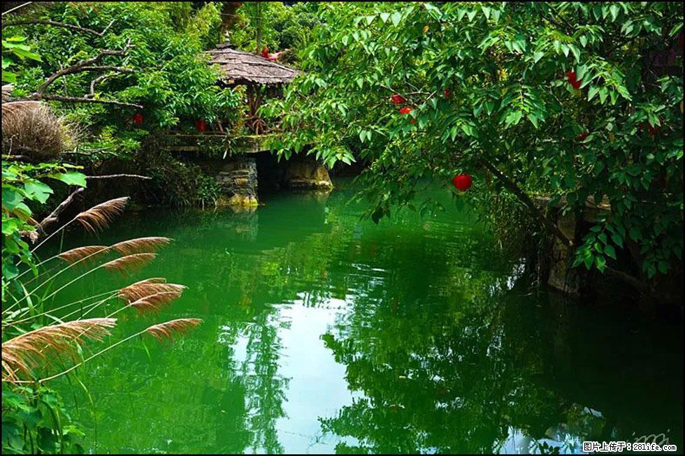 【春天,广西桂林灌阳县向您发出邀请!】如梦似幻莲溪庐 - 游山玩水 - 雅安生活社区 - 雅安28生活网 ya.28life.com