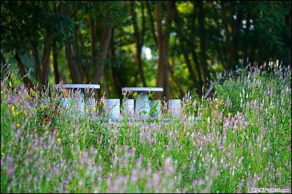 【春天,广西桂林灌阳县向您发出邀请!】熊家寨湿地公园 - 游山玩水 - 雅安生活社区 - 雅安28生活网 ya.28life.com