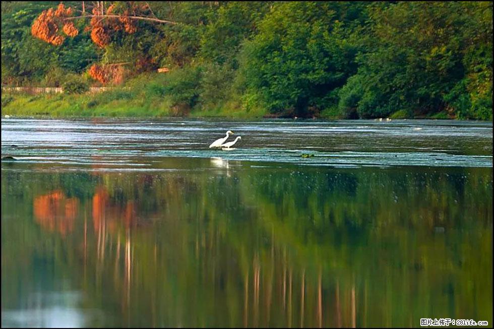 【春天,广西桂林灌阳县向您发出邀请!】熊家寨湿地公园 - 游山玩水 - 雅安生活社区 - 雅安28生活网 ya.28life.com