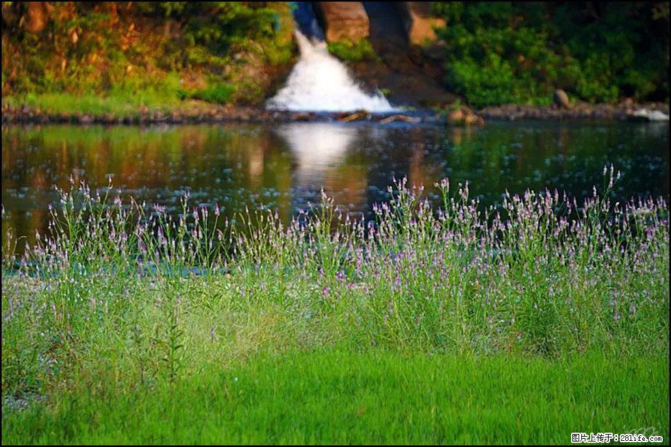 【春天,广西桂林灌阳县向您发出邀请!】熊家寨湿地公园 - 游山玩水 - 雅安生活社区 - 雅安28生活网 ya.28life.com