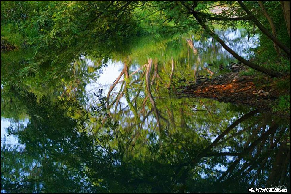 【春天,广西桂林灌阳县向您发出邀请!】熊家寨湿地公园 - 游山玩水 - 雅安生活社区 - 雅安28生活网 ya.28life.com