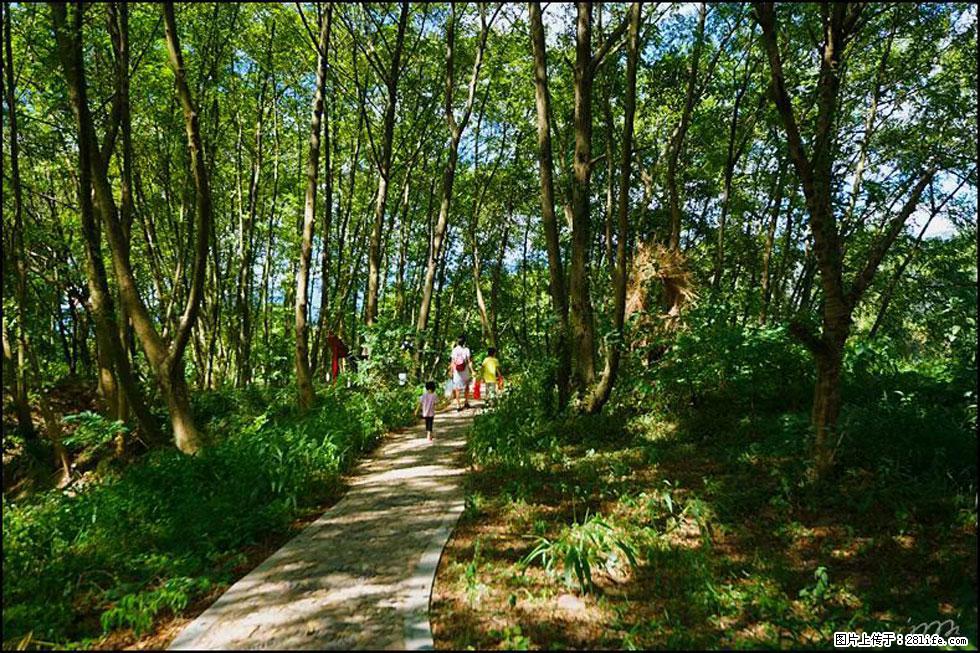 【春天,广西桂林灌阳县向您发出邀请!】熊家寨湿地公园 - 游山玩水 - 雅安生活社区 - 雅安28生活网 ya.28life.com