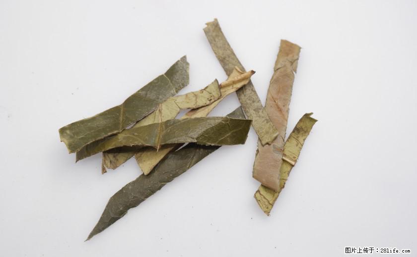 苦丁茶有哪些功效和作用 - 生活百科 - 雅安生活社区 - 雅安28生活网 ya.28life.com