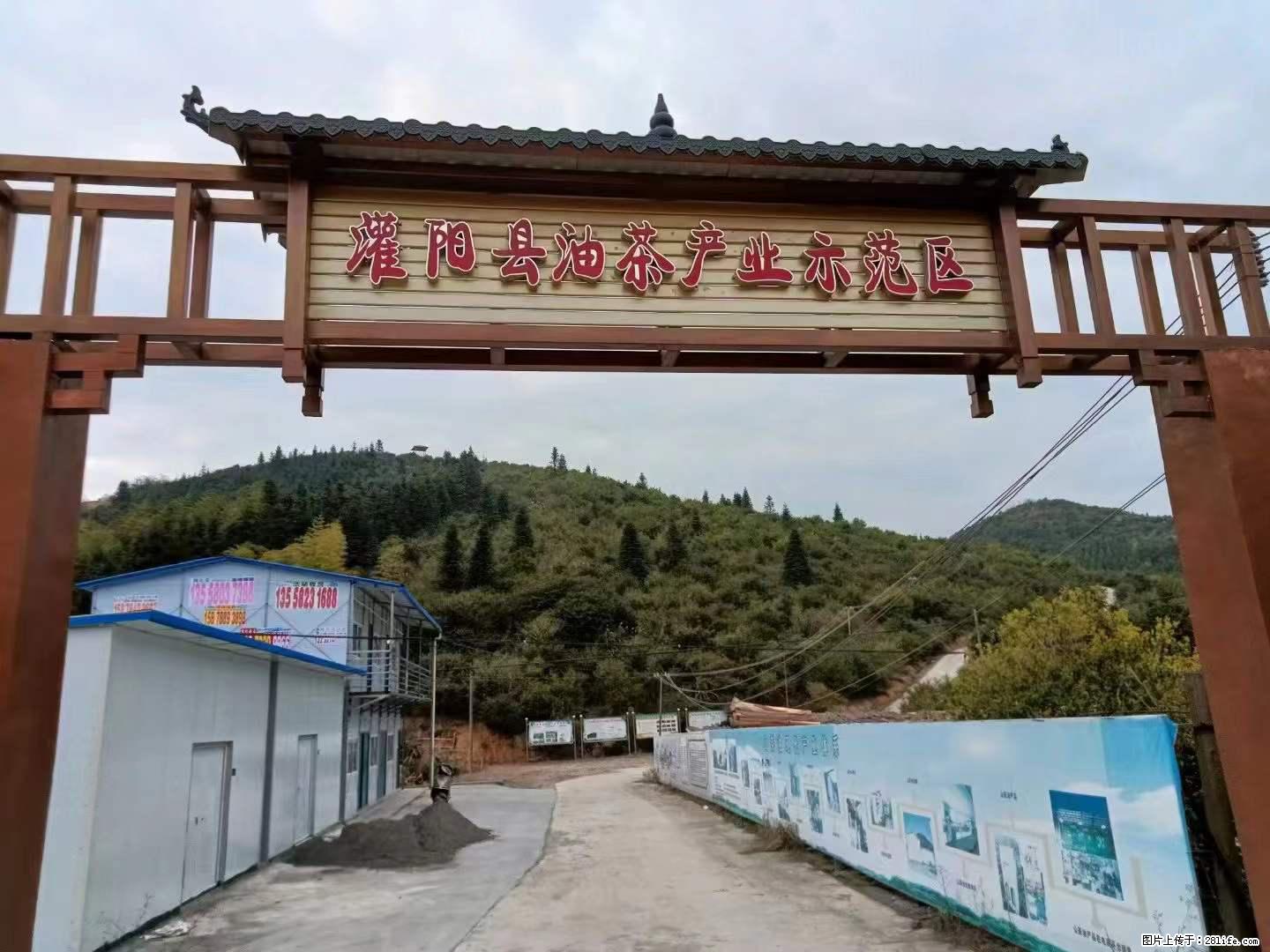 【灌阳县油茶产业示范区】一个有着充实的精神生活的人,对待身外之物自会有一种淡泊的态度 - 美食天地 - 雅安生活社区 - 雅安28生活网 ya.28life.com