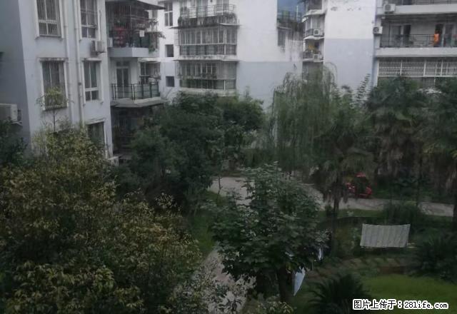 旅游车站附近套一押一付一出租 - 房屋出租 - 房屋租售 - 雅安分类信息 - 雅安28生活网 ya.28life.com