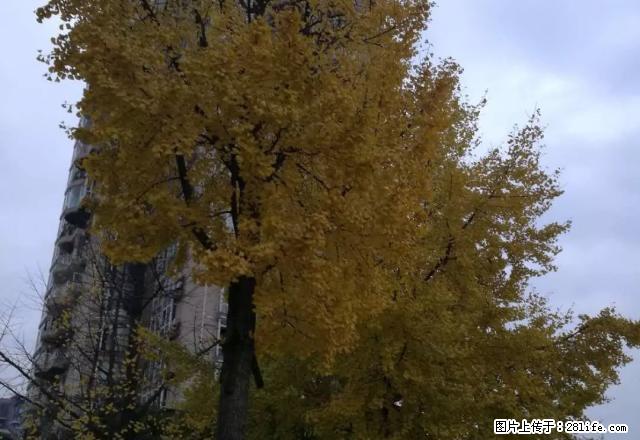 上坝路单位房套二精装修家具家电空调诚意出租 - 房屋出租 - 房屋租售 - 雅安分类信息 - 雅安28生活网 ya.28life.com