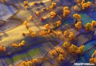 中桥附近一室一厅押一付一出租 - 雅安28生活网 ya.28life.com