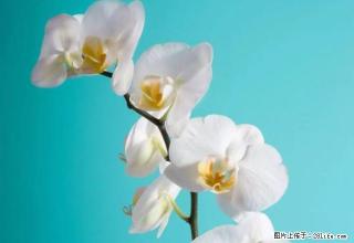 雨城区新民街套二押一付一诚意出租 - 雅安28生活网 ya.28life.com