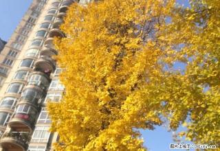 西门电梯公寓精装修带家具家电拧包入住 - 雅安28生活网 ya.28life.com