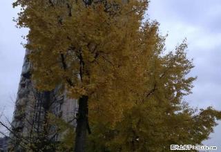 上坝路单位房套二精装修家具家电空调诚意出租 - 雅安28生活网 ya.28life.com