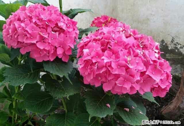 雨城 全雨城 城后路市医院附近押一付一空调网络 1室 - 房屋出租 - 房屋租售 - 雅安分类信息 - 雅安28生活网 ya.28life.com