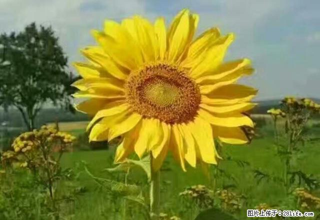 雨城 全雨城 大众路押一付一电热水器全齐 1室 - 房屋出租 - 房屋租售 - 雅安分类信息 - 雅安28生活网 ya.28life.com