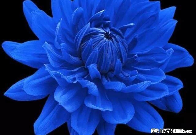 (单间出租)客厅开间比较大，带大阳台, 视野好 楼间距开阔。 - 房屋出租 - 房屋租售 - 雅安分类信息 - 雅安28生活网 ya.28life.com