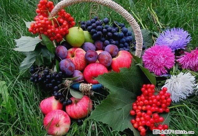 雨城 全雨城 卫校附近押一付一 1室 - 房屋出租 - 房屋租售 - 雅安分类信息 - 雅安28生活网 ya.28life.com