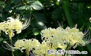 雨城川农新校区 1室0厅40平米 简单装修 押一付一 - 房屋出租 - 房屋租售 - 雅安分类信息 - 雅安28生活网 ya.28life.com