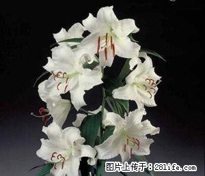 雨城中大街 1室1厅58平米 简单装修 押一付三 - 房屋出租 - 房屋租售 - 雅安分类信息 - 雅安28生活网 ya.28life.com