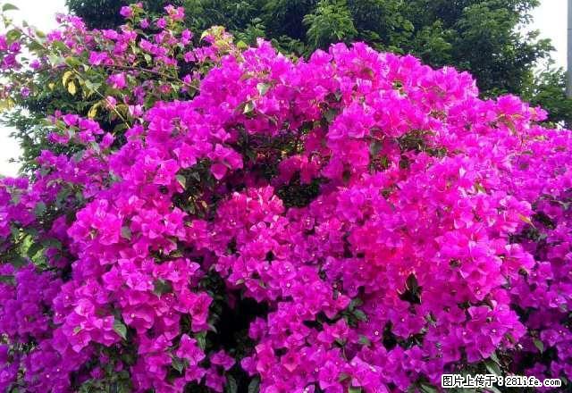 雨城联通广场附近 2室1厅68平米 简单装修 押一付三 - 房屋出租 - 房屋租售 - 雅安分类信息 - 雅安28生活网 ya.28life.com