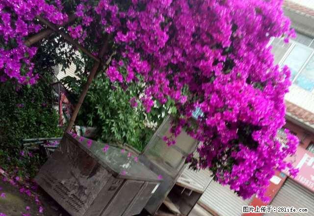 雨城吉选超市附近 1室1厅50平米 简单装修 押一付一 - 房屋出租 - 房屋租售 - 雅安分类信息 - 雅安28生活网 ya.28life.com