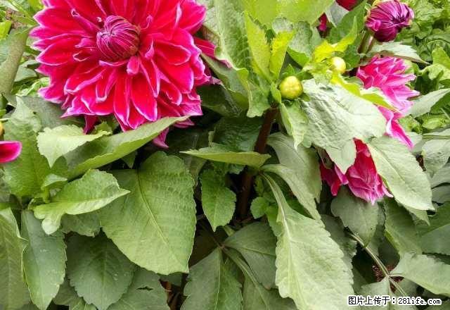 雨城上坝路押一付 1室1厅40平米 简单装修 押一付三 - 房屋出租 - 房屋租售 - 雅安分类信息 - 雅安28生活网 ya.28life.com