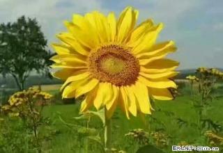 雨城 全雨城 大众路押一付一电热水器全齐 1室 - 雅安28生活网 ya.28life.com