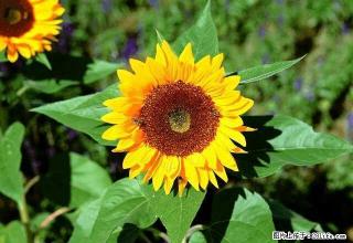 雨城 全雨城 县前街押一付一 1室 - 雅安28生活网 ya.28life.com