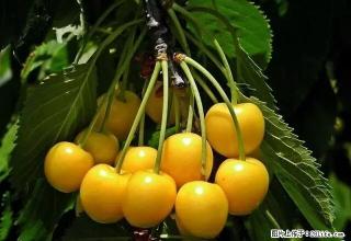 雨城 全雨城 南一路押一付一 1室 - 雅安28生活网 ya.28life.com