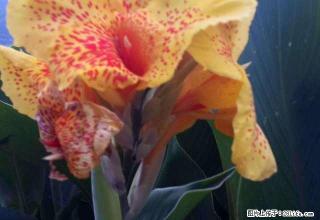 雨城城后坝市医院 2室1厅60平米 简单装修 押一付三 - 雅安28生活网 ya.28life.com