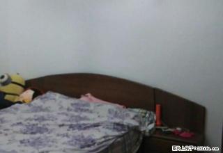 雅安市雨城区八一路金装房 - 雅安28生活网 ya.28life.com