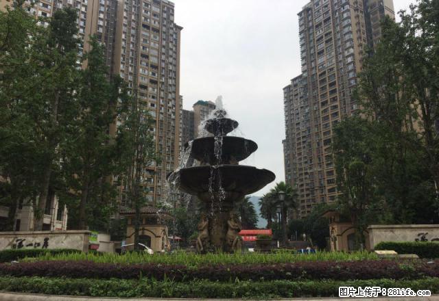 雨城姚桥周边小区 住宅 商铺 出租 装修 清水 都有 - 房屋出租 - 房屋租售 - 雅安分类信息 - 雅安28生活网 ya.28life.com