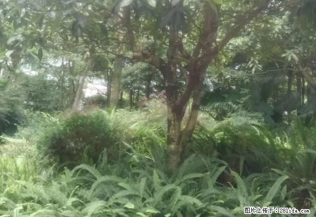 山水豪庭套二精装修住房出租 - 房屋出租 - 房屋租售 - 雅安分类信息 - 雅安28生活网 ya.28life.com