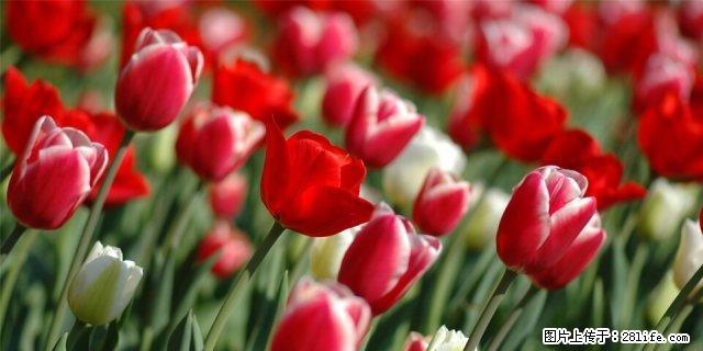 上坝 1室1厅1厨1卫押一付一 - 房屋出租 - 房屋租售 - 雅安分类信息 - 雅安28生活网 ya.28life.com