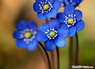 联通广场附近 1室0厅1厨1卫押一付一 - 雅安28生活网 ya.28life.com