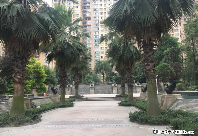 上海城精装套二出租，价格合理 - 房屋出租 - 房屋租售 - 雅安分类信息 - 雅安28生活网 ya.28life.com