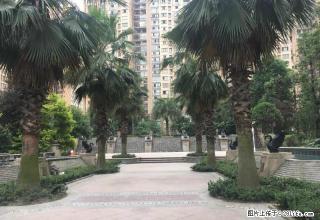 上海城精装套二出租，价格合理 - 雅安28生活网 ya.28life.com