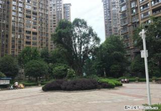 第壹江岸90平套三出租1800每月 - 雅安28生活网 ya.28life.com