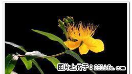 卫校附近押一付一 1室1厅1卫 - 房屋出租 - 房屋租售 - 雅安分类信息 - 雅安28生活网 ya.28life.com